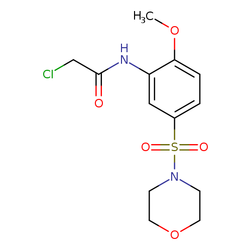 ClCC(=O)Nc1cc(ccc1OC)S(=O)(=O)N1CCOCC1