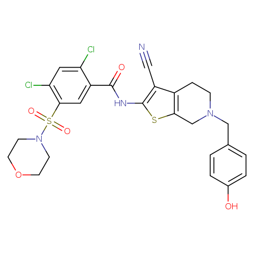 N#Cc1c(sc2c1CCN(C2)Cc1ccc(cc1)O)NC(=O)c1cc(c(cc1Cl)Cl)S(=O)(=O)N1CCOCC1