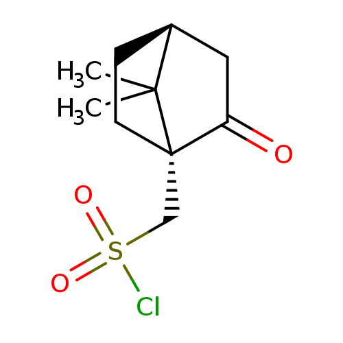 O=C1C[C@H]2C([C@@]1(CC2)CS(=O)(=O)Cl)(C)C