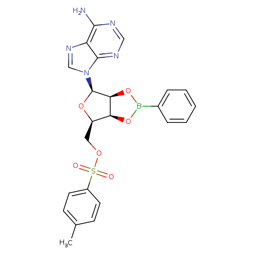 Cc1ccc(cc1)S(=O)(=O)OC[C@H]1O[C@H]([C@@H]2[C@H]1OB(O2)c1ccccc1)n1cnc2c1ncnc2N