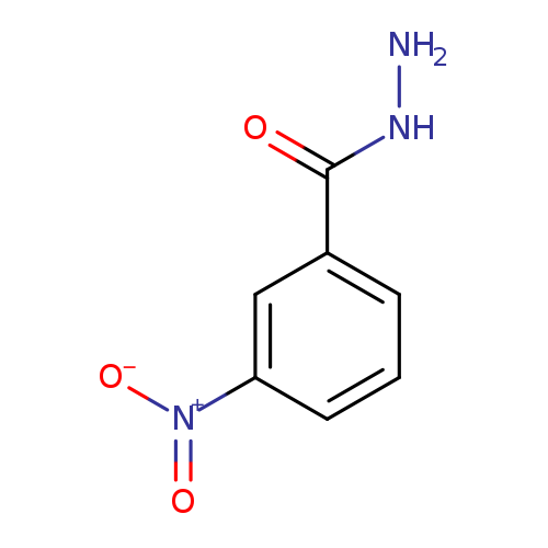 NNC(=O)c1cccc(c1)[N+](=O)[O-]