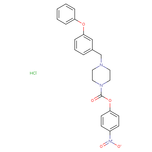 O=C(N1CCN(CC1)Cc1cccc(c1)Oc1ccccc1)Oc1ccc(cc1)[N+](=O)[O-].Cl