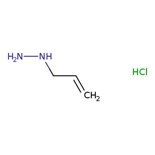 NNCC=C.Cl