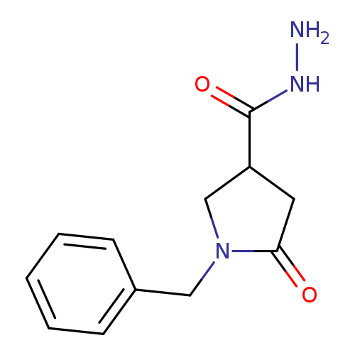 NNC(=O)C1CN(C(=O)C1)Cc1ccccc1