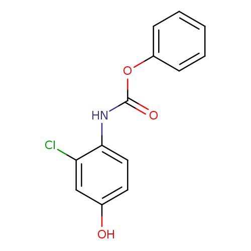 O=C(Nc1ccc(cc1Cl)O)Oc1ccccc1