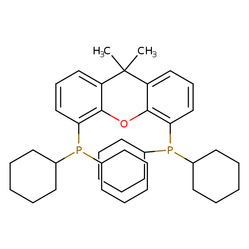 CC1(C)c2cccc(c2Oc2c1cccc2P(C1CCCCC1)C1CCCCC1)P(C1CCCCC1)C1CCCCC1