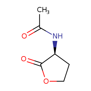 CC(=O)N[C@H]1CCOC1=O