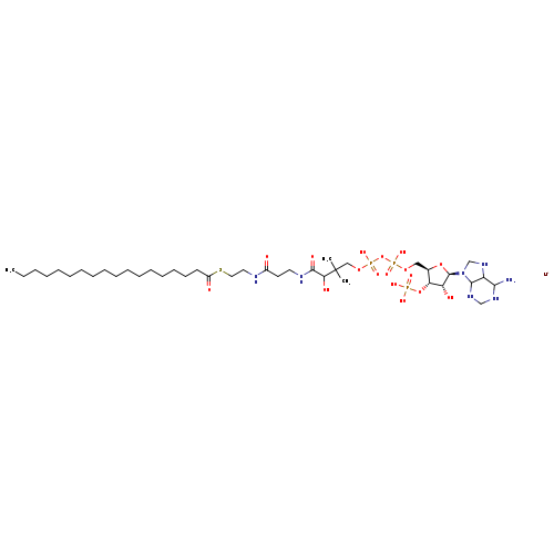 CCCCCCCCCCCCCCCCCC(=O)SCCNC(=O)CCNC(=O)C(C(COP(=O)(OP(=O)(OC[C@H]1O[C@H]([C@@H]([C@@H]1OP(=O)(O)O)O)N1CNC2C1NCNC2N)O)O)(C)C)O.[Li+]