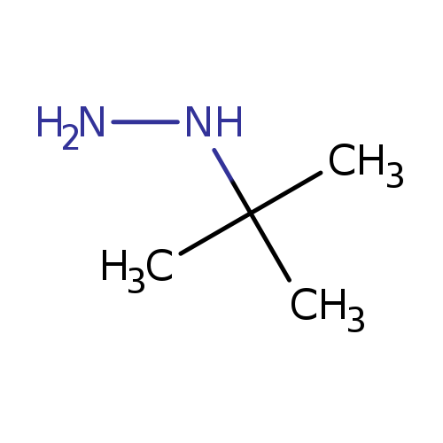 NNC(C)(C)C