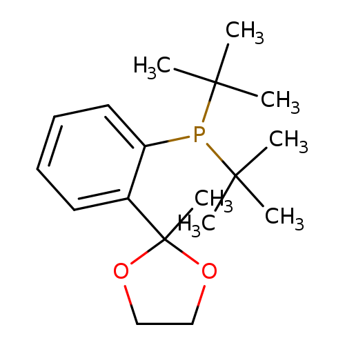 CC(P(C(C)(C)C)c1ccccc1C1(C)OCCO1)(C)C