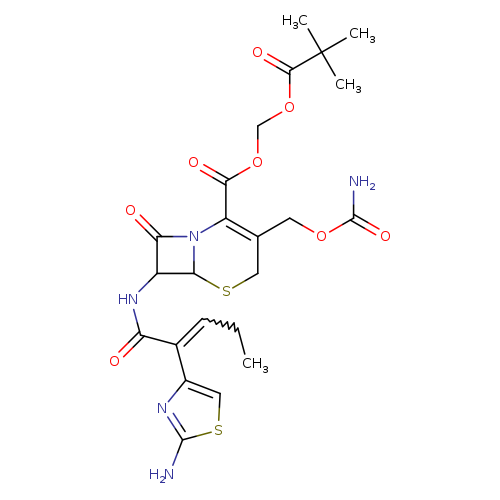 CCC=C(c1csc(n1)N)C(=O)NC1C(=O)N2C1SCC(=C2C(=O)OCOC(=O)C(C)(C)C)COC(=O)N