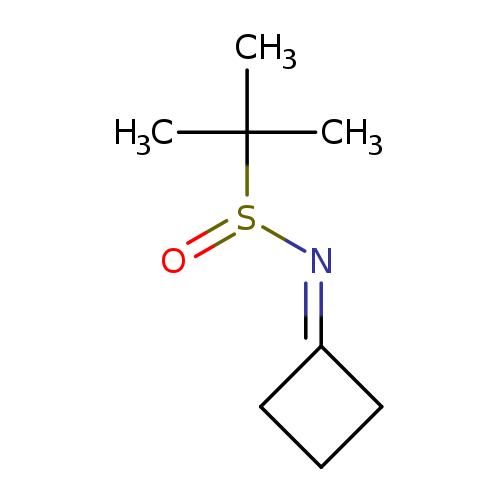 CC(S(=O)N=C1CCC1)(C)C