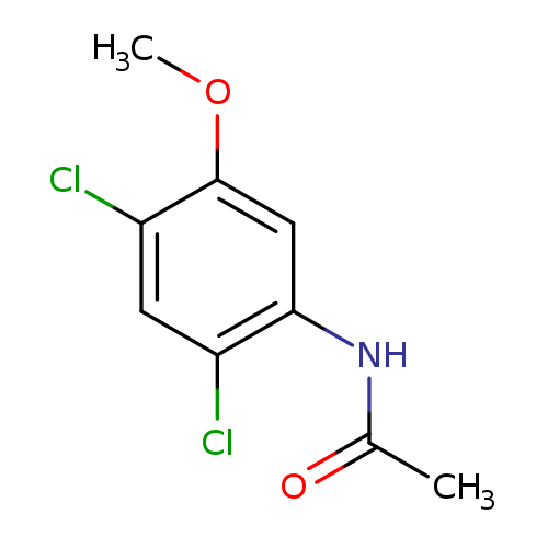 COc1cc(NC(=O)C)c(cc1Cl)Cl