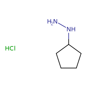 NNC1CCCC1.Cl