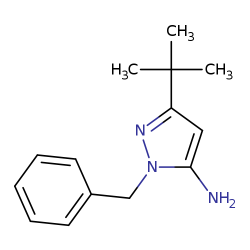 Nc1cc(nn1Cc1ccccc1)C(C)(C)C