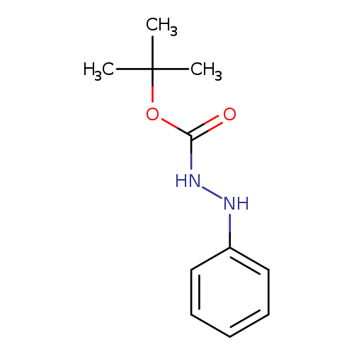 O=C(OC(C)(C)C)NNc1ccccc1
