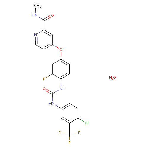 CNC(=O)c1nccc(c1)Oc1ccc(c(c1)F)NC(=O)Nc1ccc(c(c1)C(F)(F)F)Cl.O