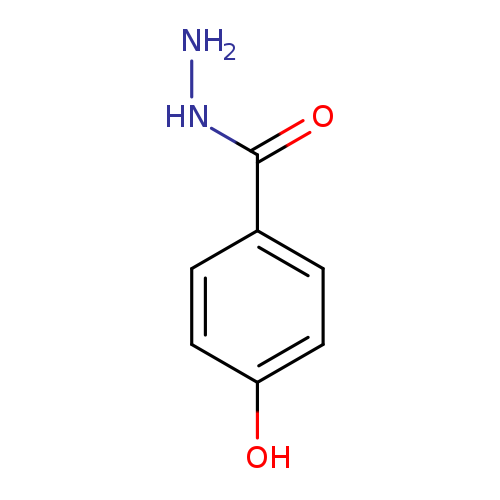 NNC(=O)c1ccc(cc1)O