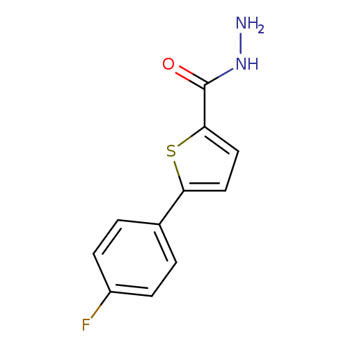 NNC(=O)c1ccc(s1)c1ccc(cc1)F