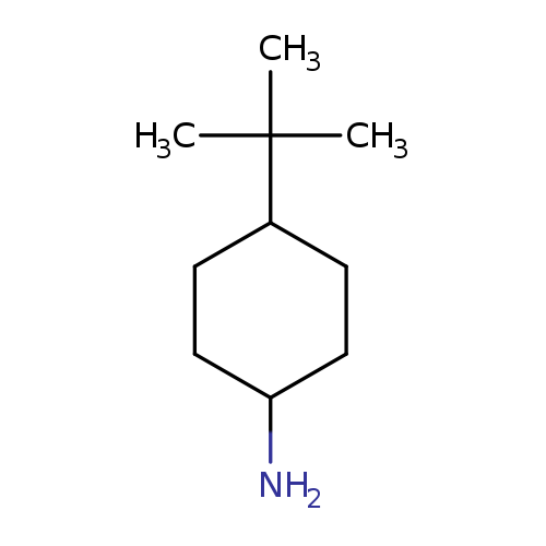 NC1CCC(CC1)C(C)(C)C