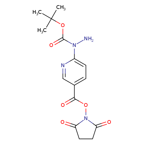 NN(C(=O)OC(C)(C)C)c1ccc(cn1)C(=O)ON1C(=O)CCC1=O