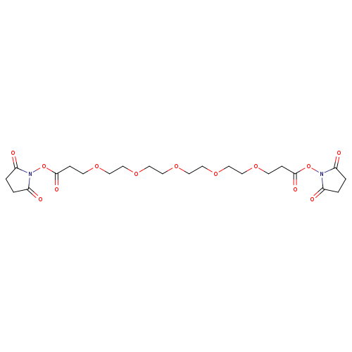 O=C(ON1C(=O)CCC1=O)CCOCCOCCOCCOCCOCCC(=O)ON1C(=O)CCC1=O