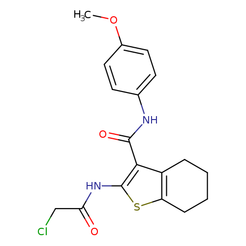 ClCC(=O)Nc1sc2c(c1C(=O)Nc1ccc(cc1)OC)CCCC2