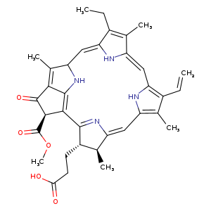COC(=O)[C@@H]1C2=C3C(=C(C(N3)/C=c/3[nH]/c(=Cc4[nH]c(/C=C/5N=C2[C@@H](CCC(=O)O)[C@@H]5C)c(C)c4C=C)/c(c3CC)C)C)C1=O