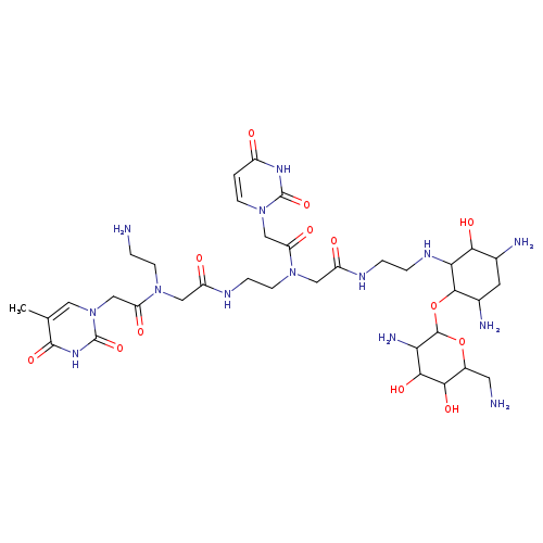 NCCN(C(=O)Cn1cc(C)c(=O)[nH]c1=O)CC(=O)NCCN(C(=O)Cn1ccc(=O)[nH]c1=O)CC(=O)NCCNC1C(O)C(N)CC(C1OC1OC(CN)C(C(C1N)O)O)N