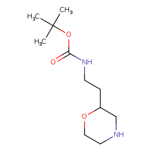 O=C(OC(C)(C)C)NCCC1OCCNC1
