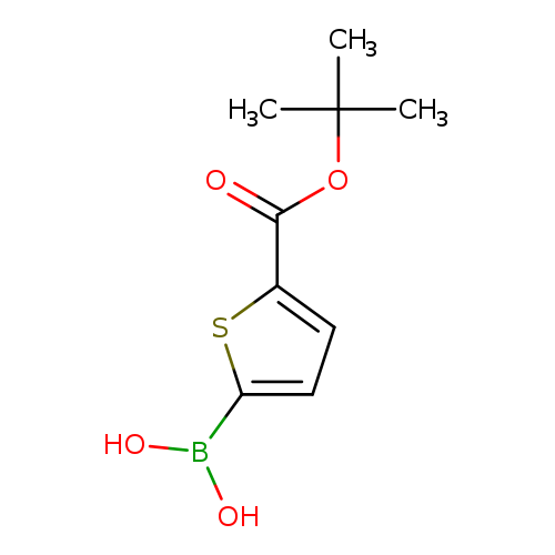 OB(c1ccc(s1)C(=O)OC(C)(C)C)O