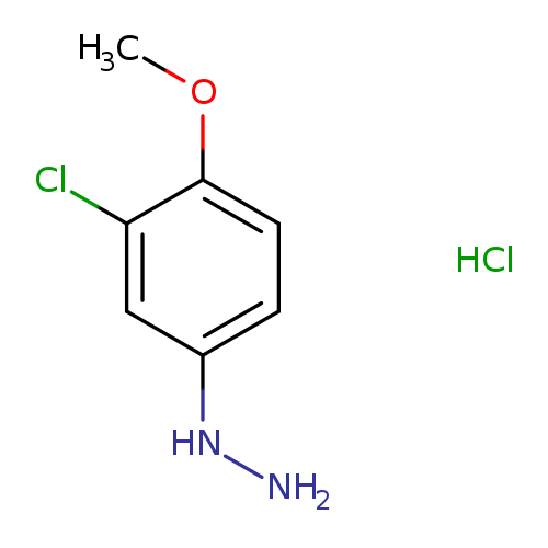 NNc1ccc(c(c1)Cl)OC.Cl