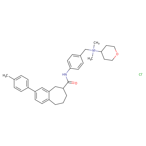 O=C(C1CCCc2c(C1)cc(cc2)c1ccc(cc1)C)Nc1ccc(cc1)C[N+](C1CCOCC1)(C)C.[Cl-]