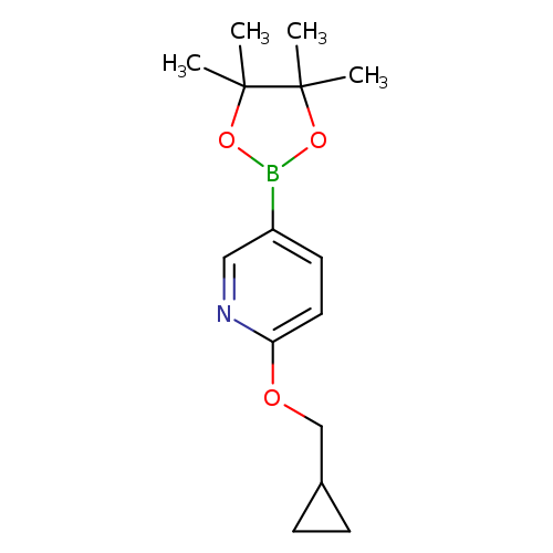 CC1(C)OB(OC1(C)C)c1ccc(nc1)OCC1CC1