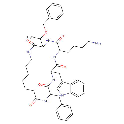 NCCCCC1NC(=O)C(NC(=O)C(NC(=O)CCCCCCNC(=O)C(NC1=O)C(OCc1ccccc1)C)Cc1ccccc1)Cc1c[nH]c2c1cccc2