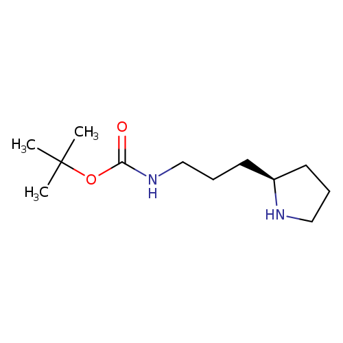 O=C(OC(C)(C)C)NCCC[C@H]1CCCN1