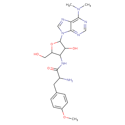 OCC1OC(C(C1NC(=O)C(Cc1ccc(cc1)OC)N)O)n1cnc2c1ncnc2N(C)C