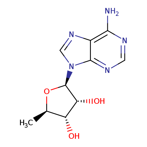 C[C@H]1O[C@H]([C@@H]([C@@H]1O)O)n1cnc2c1ncnc2N