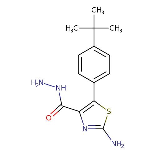 NNC(=O)c1nc(sc1c1ccc(cc1)C(C)(C)C)N