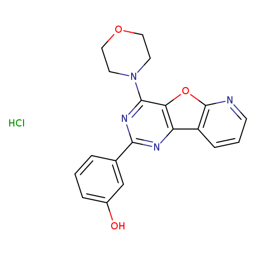 Oc1cccc(c1)c1nc(N2CCOCC2)c2c(n1)c1cccnc1o2.Cl