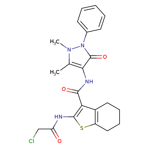 ClCC(=O)Nc1sc2c(c1C(=O)Nc1c(C)n(n(c1=O)c1ccccc1)C)CCCC2