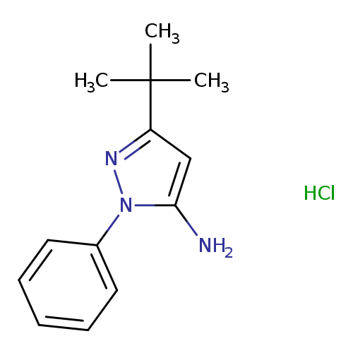 Nc1cc(nn1c1ccccc1)C(C)(C)C.Cl