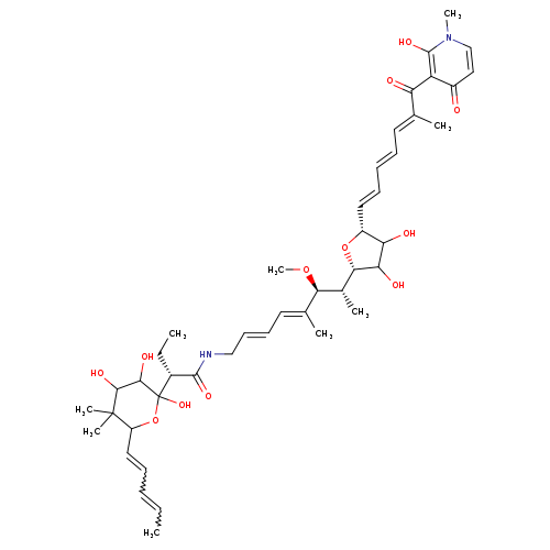 CC=CC=CC1OC(O)([C@@H](C(=O)NC/C=C/C=C(/[C@H]([C@H]([C@@H]2O[C@@H](C(C2O)O)/C=C/C=C/C=C(/C(=O)c2c(=O)ccn(c2O)C)C)C)OC)C)CC)C(C(C1(C)C)O)O