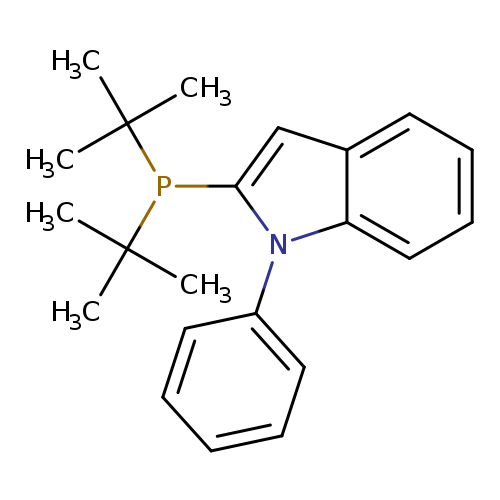 CC(P(C(C)(C)C)c1cc2c(n1c1ccccc1)cccc2)(C)C