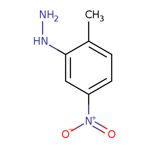 NNc1cc(ccc1C)[N+](=O)[O-]