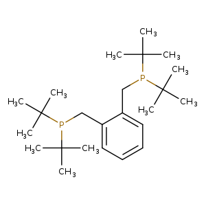 CC(P(C(C)(C)C)Cc1ccccc1CP(C(C)(C)C)C(C)(C)C)(C)C