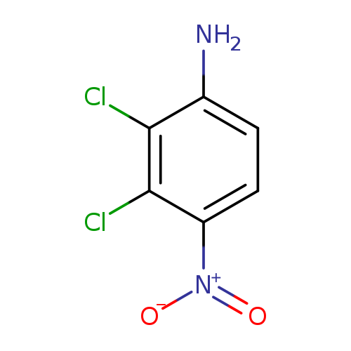 [O-][N+](=O)c1ccc(c(c1Cl)Cl)N