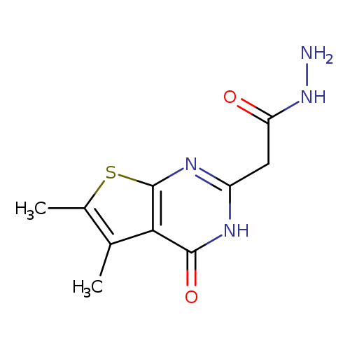 NNC(=O)Cc1[nH]c(=O)c2c(n1)sc(c2C)C