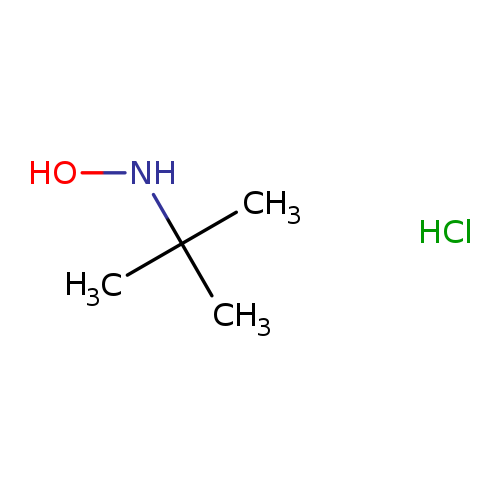 ONC(C)(C)C.Cl