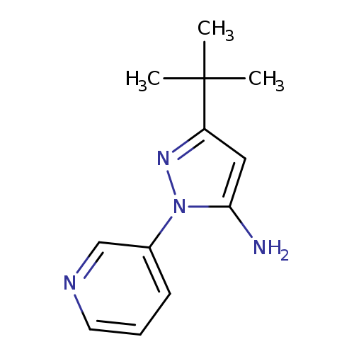 Nc1cc(nn1c1cccnc1)C(C)(C)C